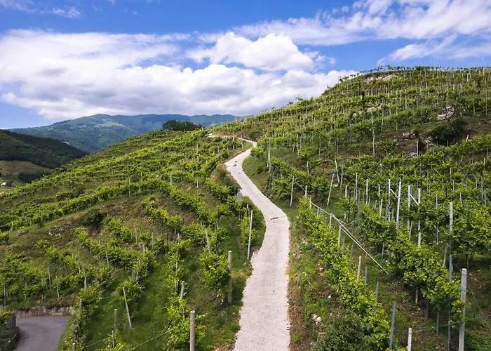 Al Tiglio Alloggio per agriturismo *
